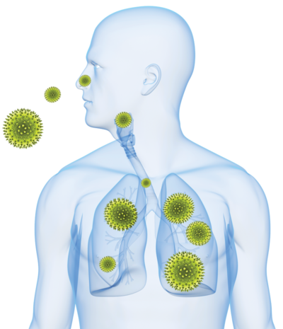 pollen